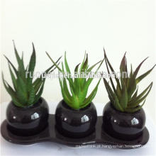 Mini-plantas suculentas artificiais verdes baratas com vaso